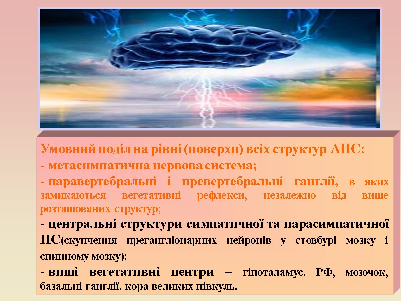 Умовний поділ на рівні (поверхи) всіх структур АНС: - метасимпатична нервова система;  паравертебральні